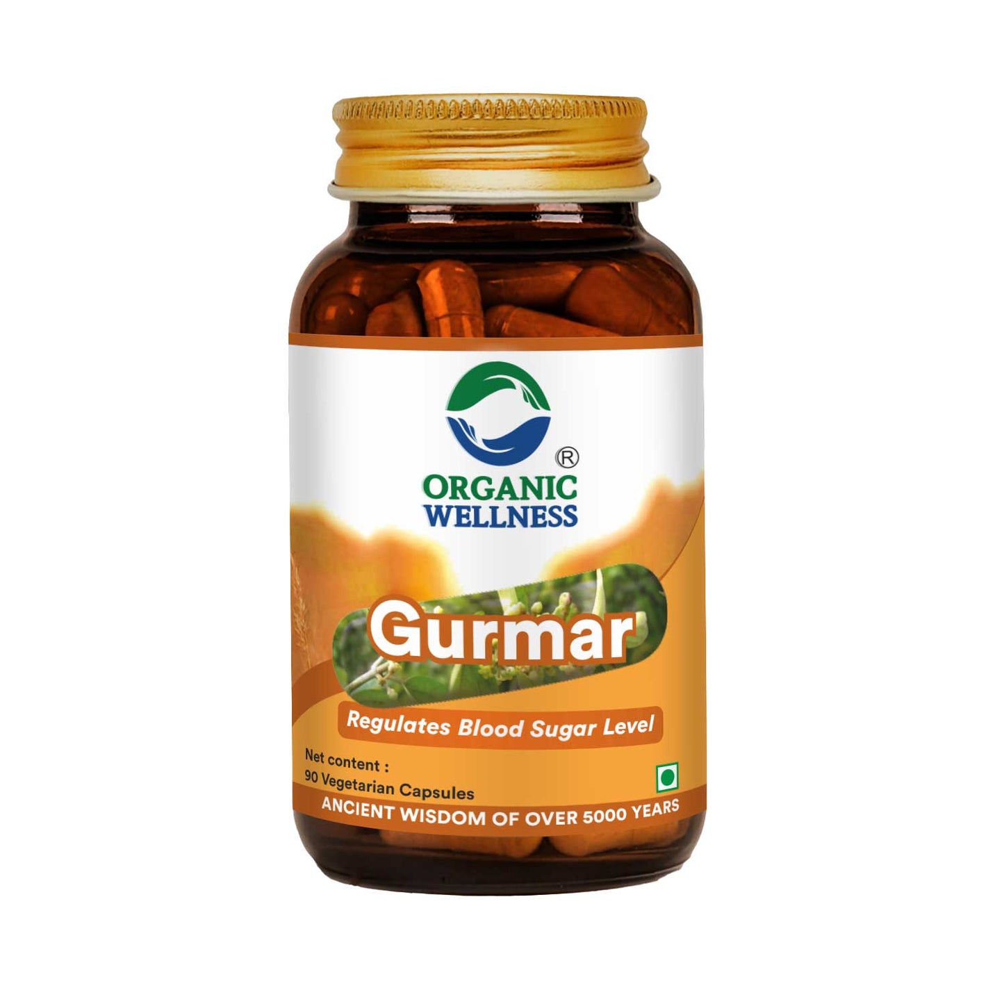 Organic Wellness Gurmar 90 Capsules