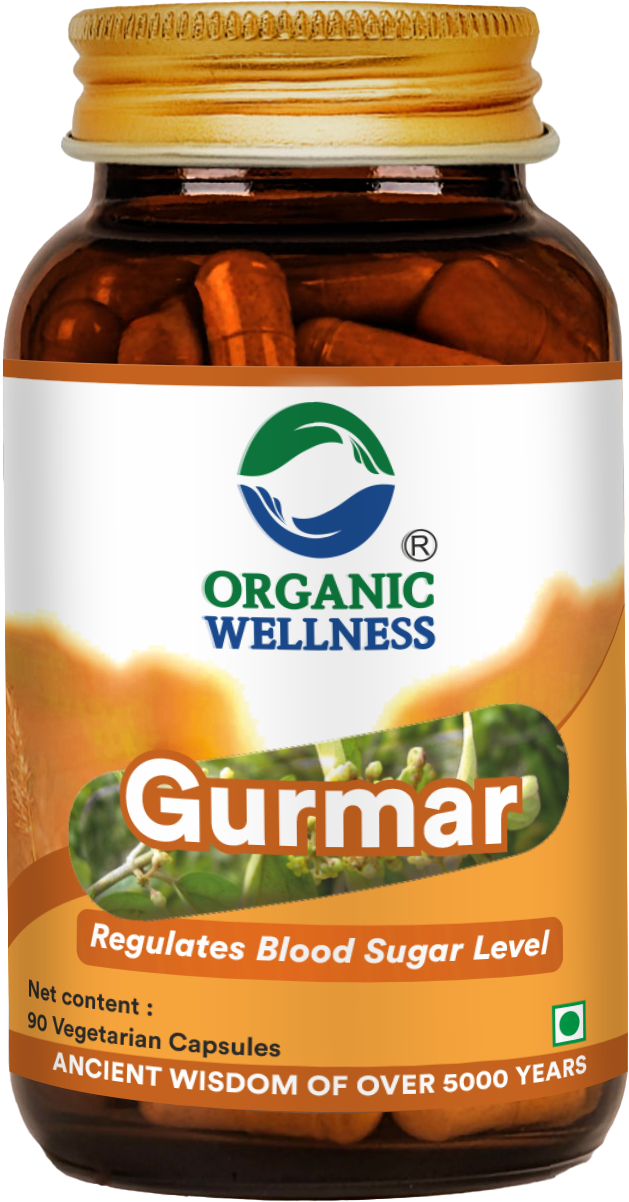 Organic Wellness Gurmar 90 Capsules