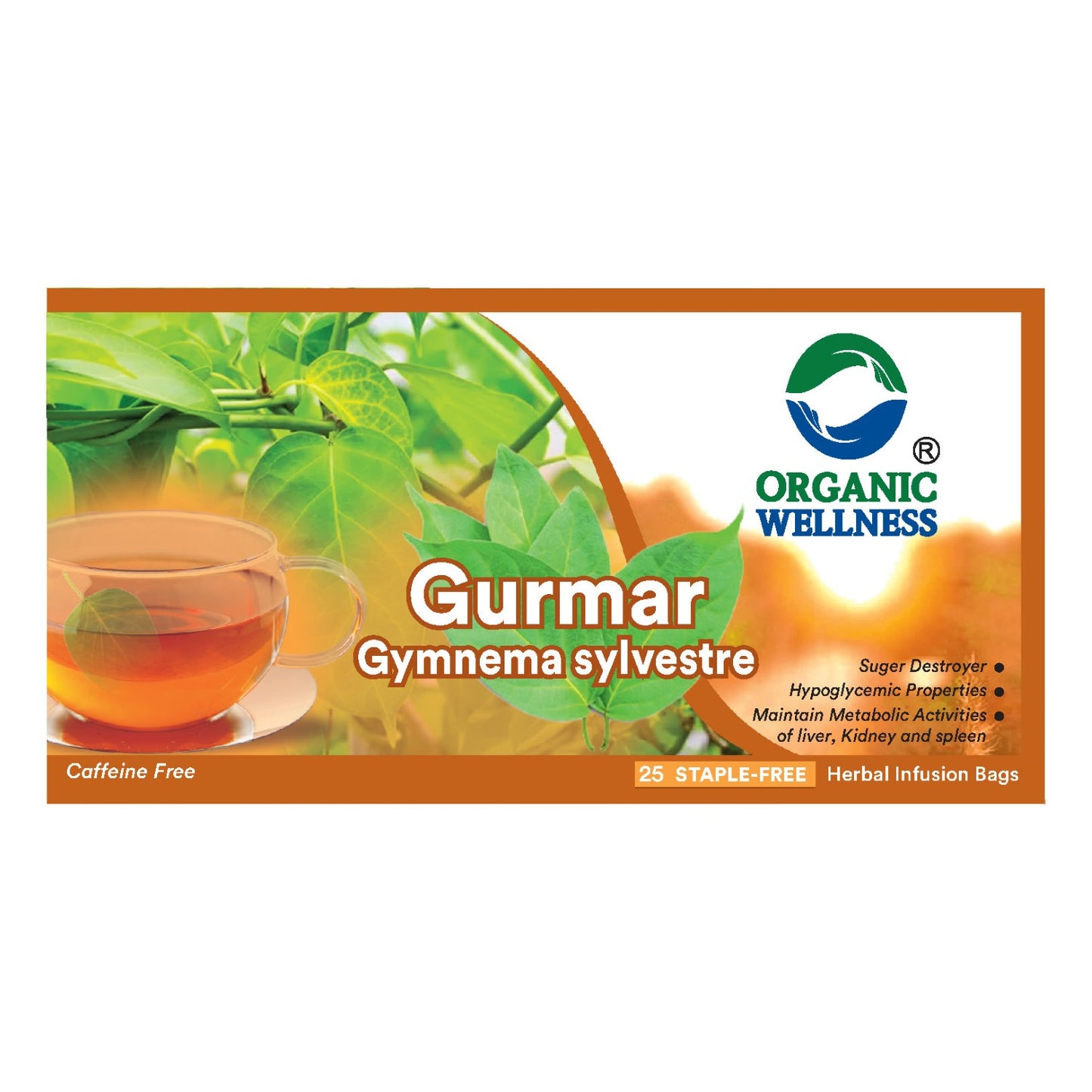 Organic Wellness Gurmar Gymnema Sylvestrev Tea