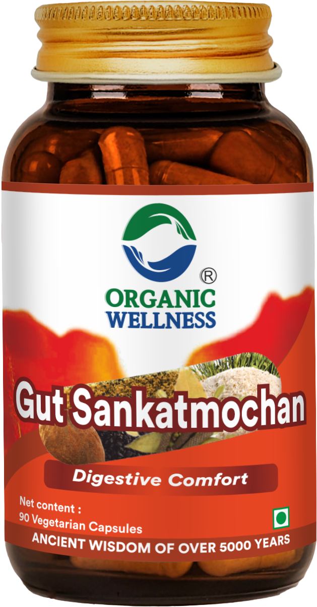 Organic Wellness Gut Sankatmochan 90 Capsules