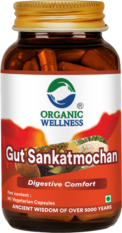 Organic Wellness Gut Sankatmochan 90 Capsules