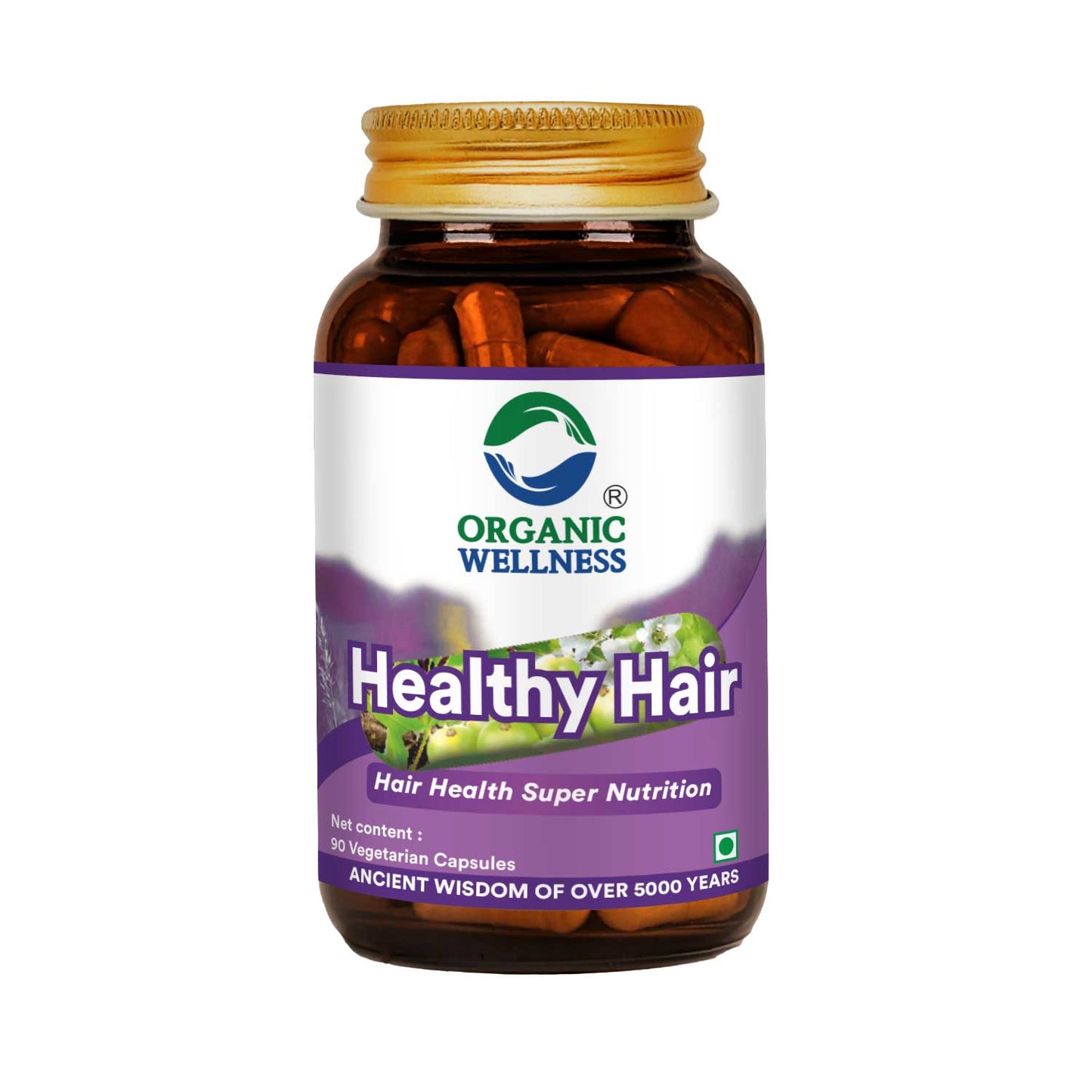Organic Wellness Healthy Hair 90 Capsules