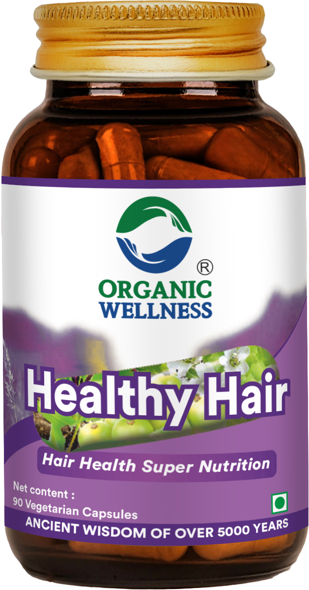 Organic Wellness Healthy Hair 90 Capsules