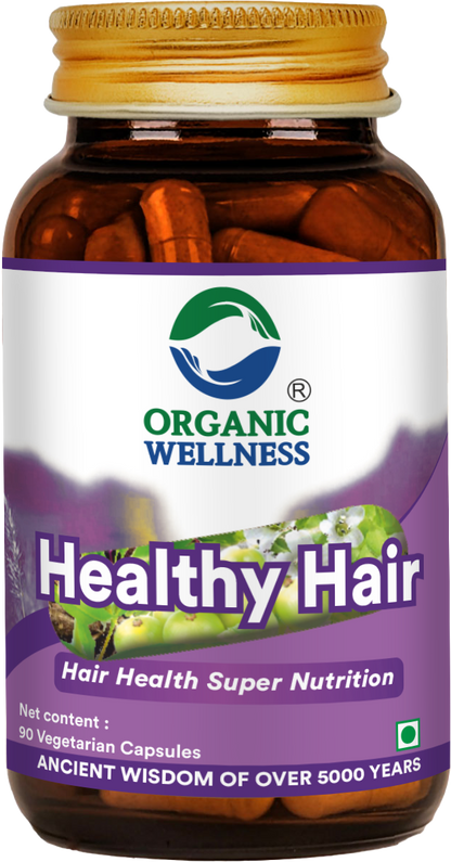 Organic Wellness Healthy Hair 90 Capsules