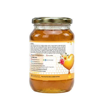 Organic Wellness Raw & Wild Honey (350 GM)