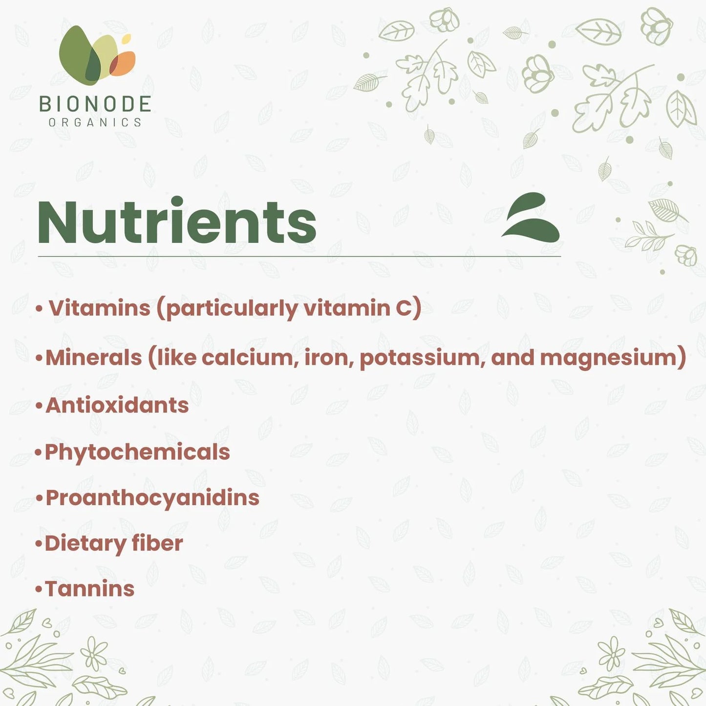 Bionode Organic Jamun Seed Powder (100 GM)