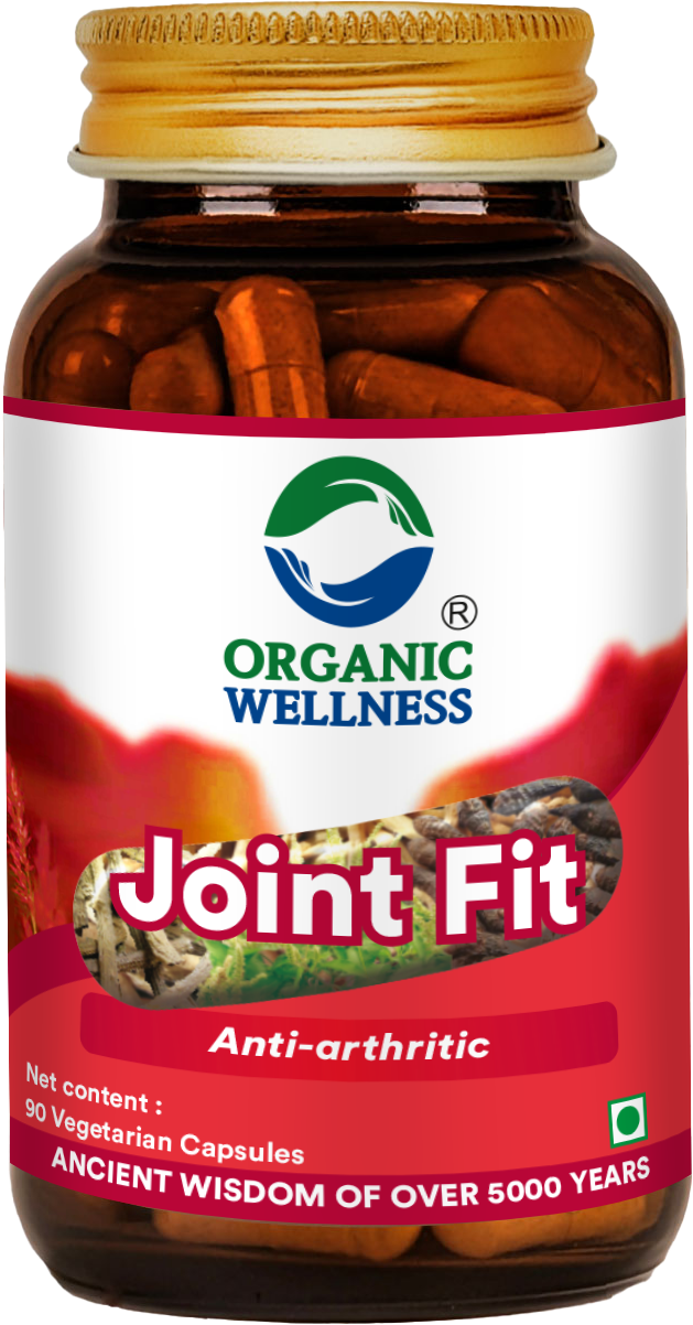 Organic Wellness Joint Fit 90 Capsules
