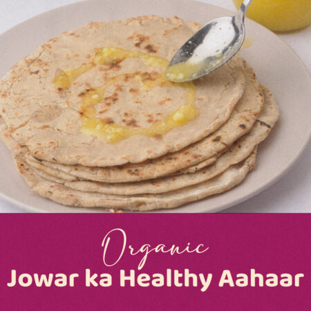 True Story Organics Jowar Flour