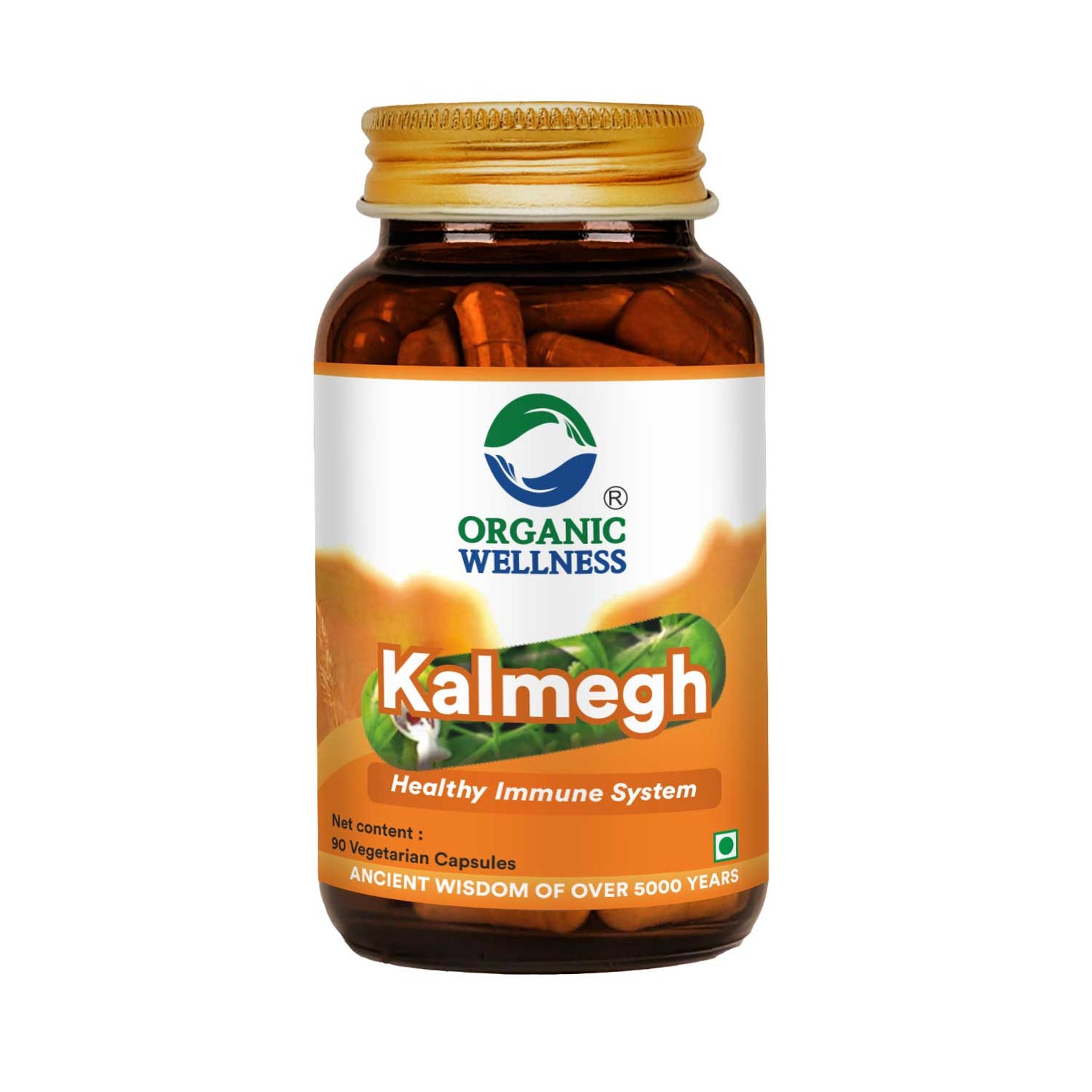 Organic Wellness Kalmegh 90 Capsules