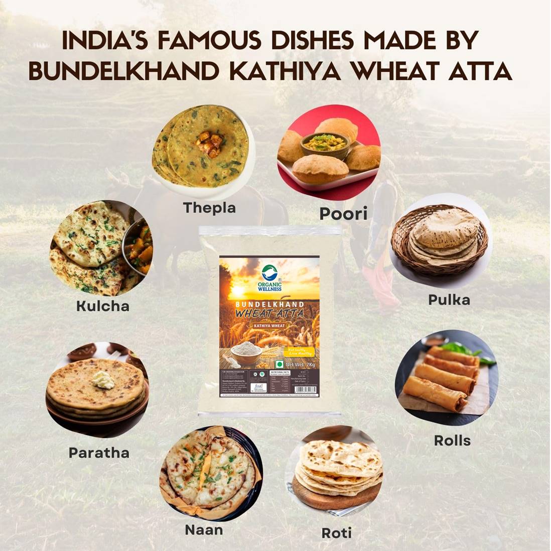 Organic Wellness Bundelkhand Kathiya Wheat Atta