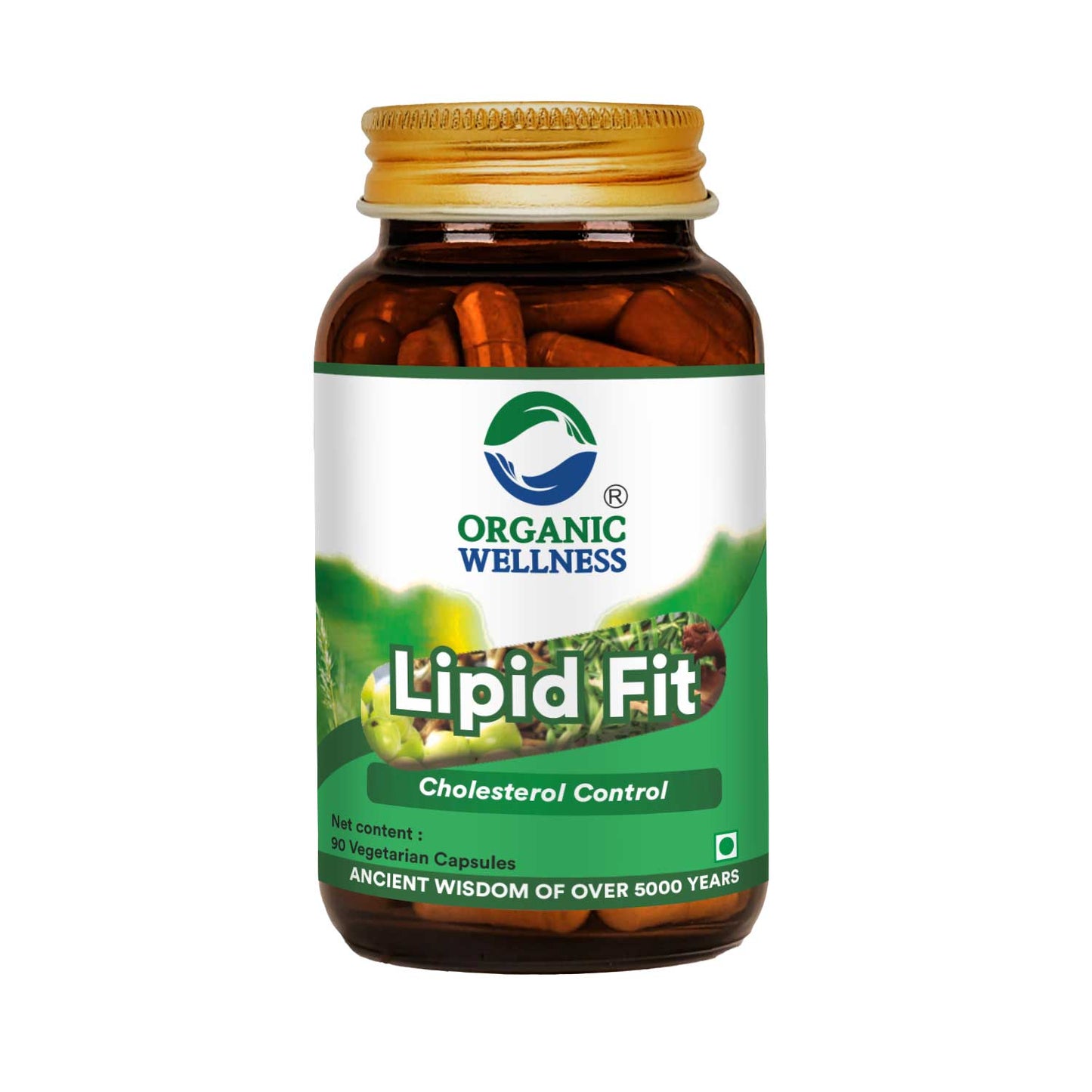 Organic Wellness Lipid Fit 90 Capsules