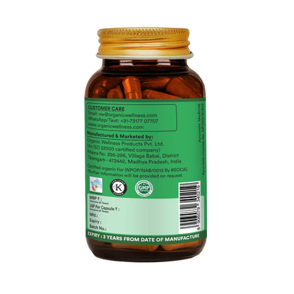 Organic Wellness Lipid Fit 90 Capsules