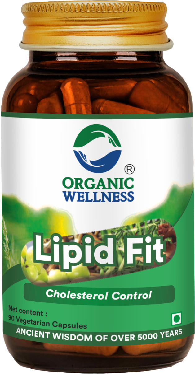 Organic Wellness Lipid Fit 90 Capsules
