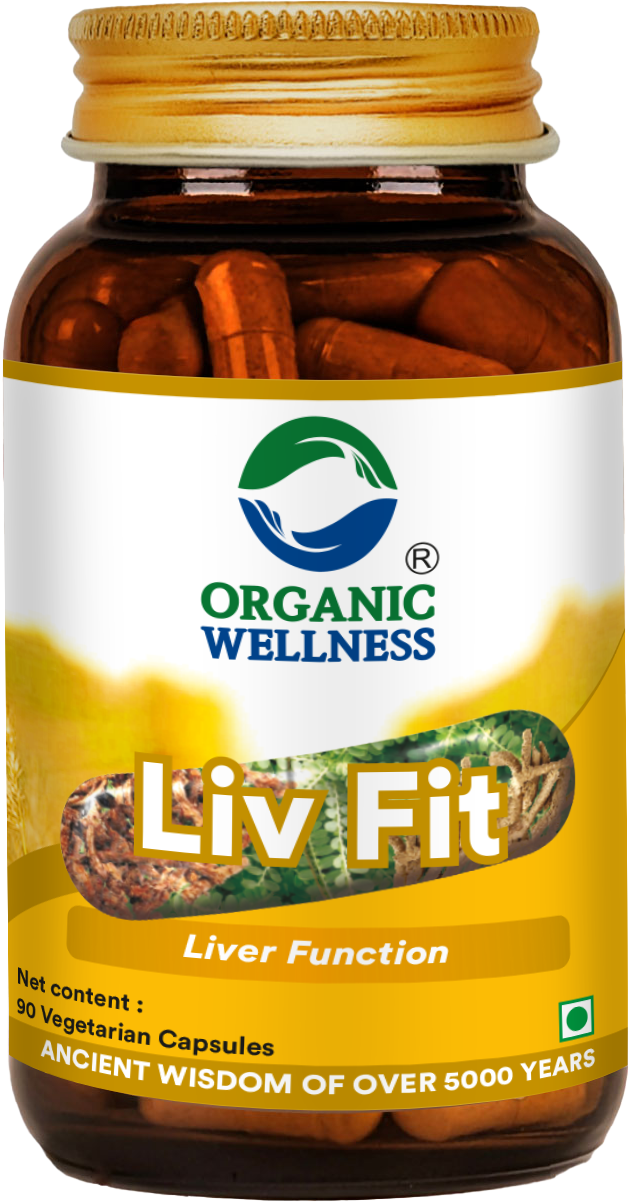 Organic Wellness Liv Fit 90 Capsules