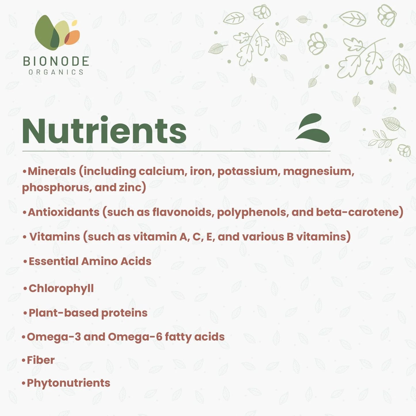 Bionode Organic Moringa Powder (100 GM)