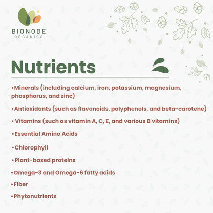 Bionode Organic Moringa Powder (100 GM)