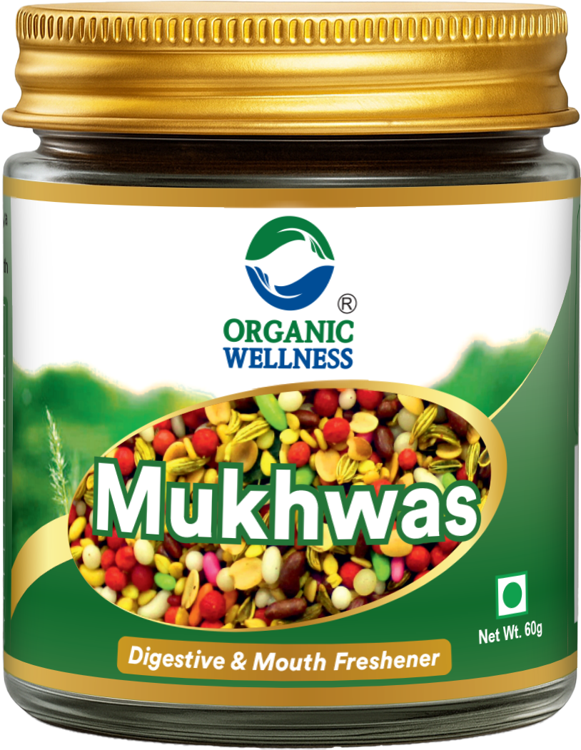 Organic Wellness Mukhwas Digestive & Mouth Freshener (60 GM)