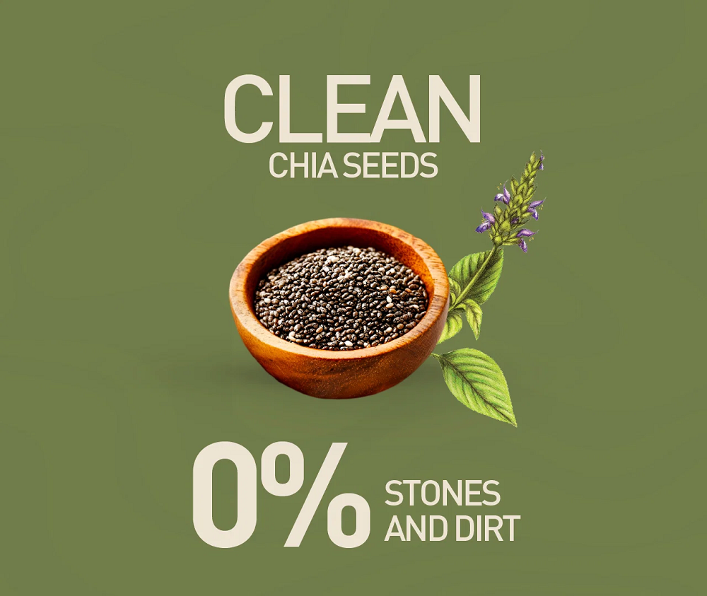 Nourish Organics Chia Seeds (500 GM)