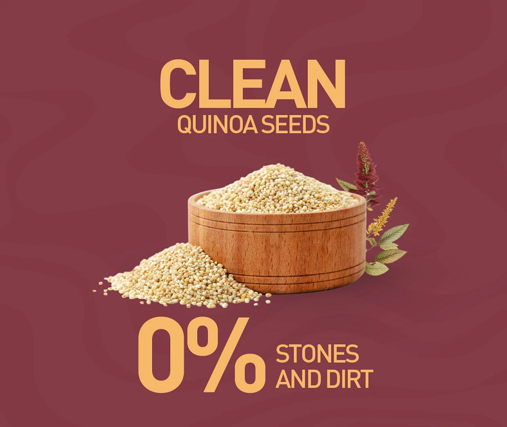 Nourish Organics Quinoa Seeds (500 GM)