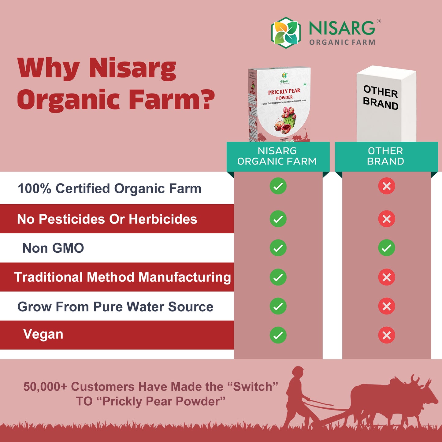 Nisarg Organic Farm Prickly Pear Powder