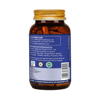 Organic Wellness Prostate Fit 90 Capsules