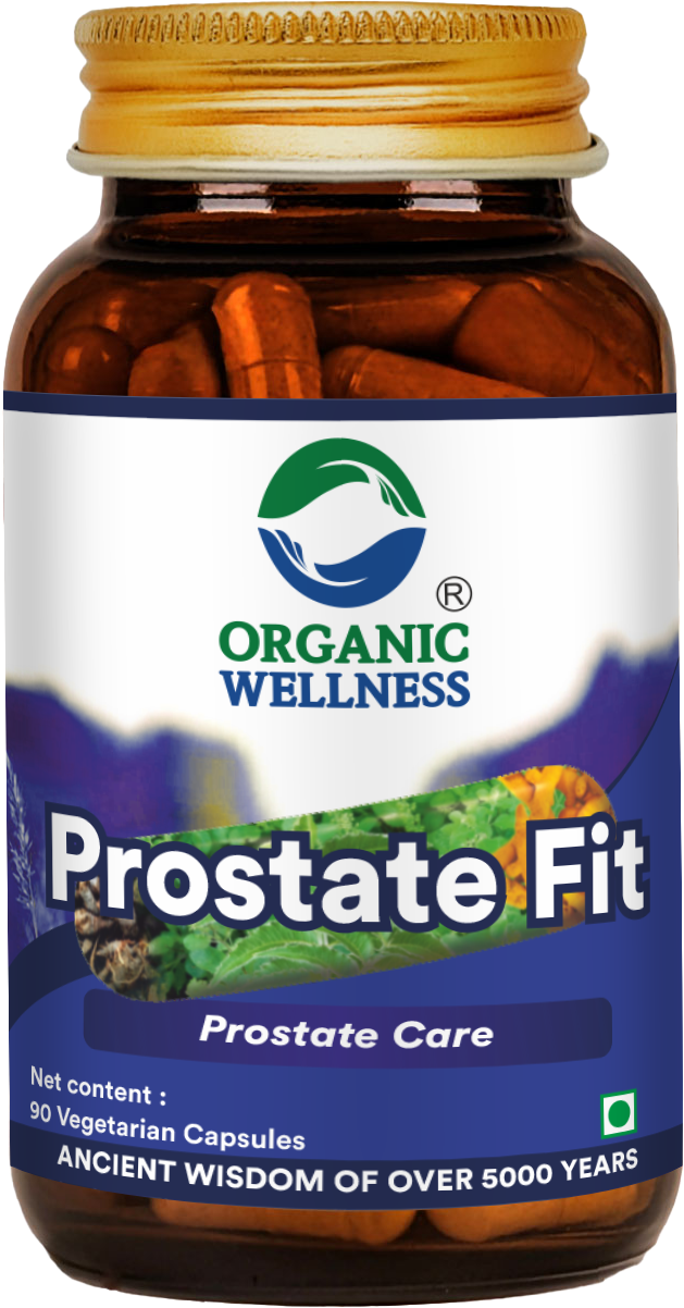 Organic Wellness Prostate Fit 90 Capsules