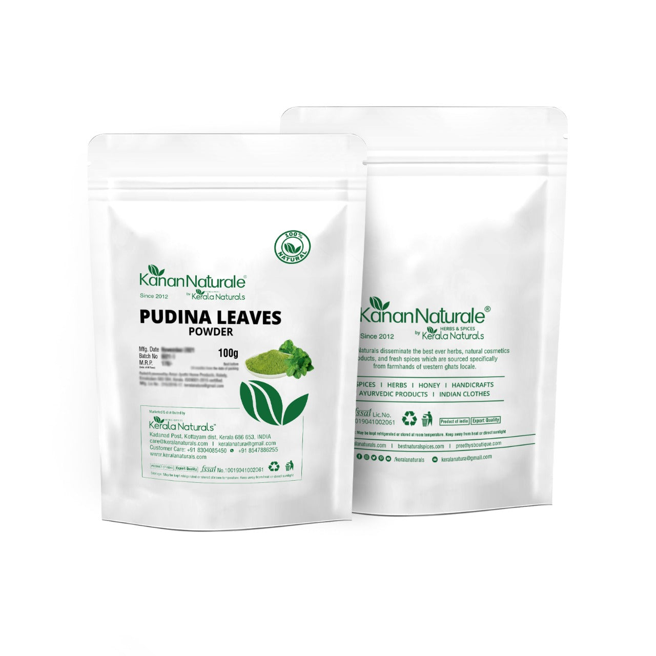 Kerala Naturals Pudina Leaves Powder (100 GM)