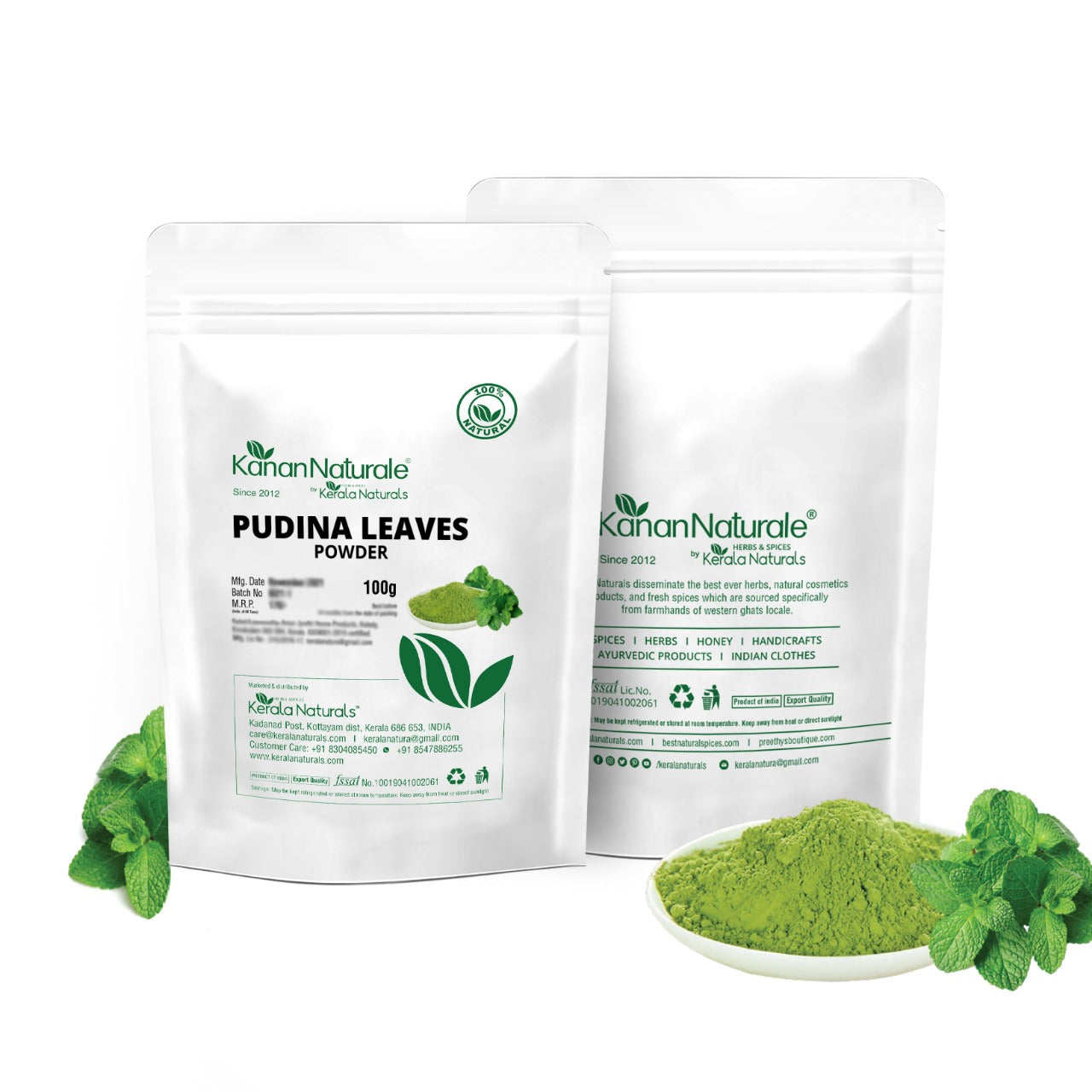 Kerala Naturals Pudina Leaves Powder (100 GM)