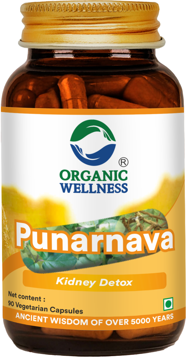 Organic Wellness Punarnava 90 Capsules