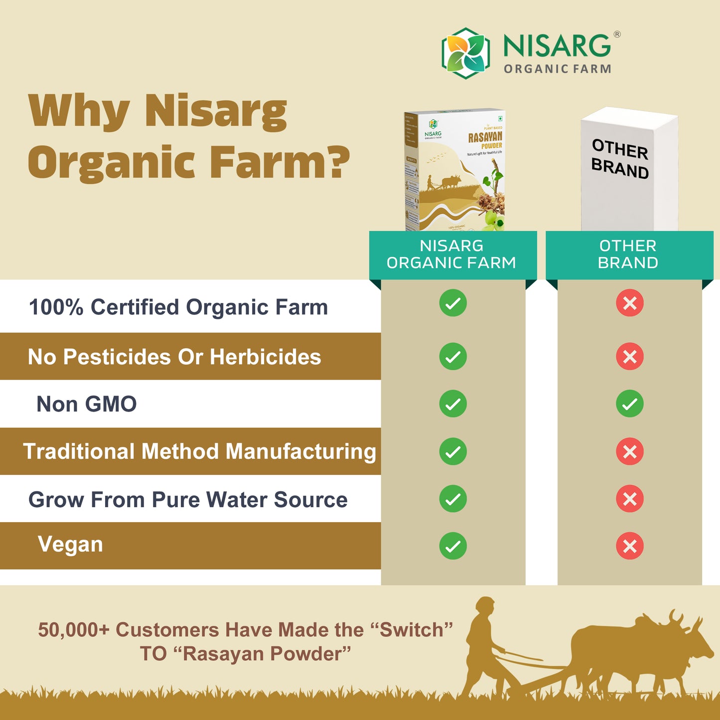 Nisarg Organic Farm Rasayan Powder (100 GM)