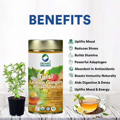 Organic Wellness Tulsi Lemon Ginger Green Tea