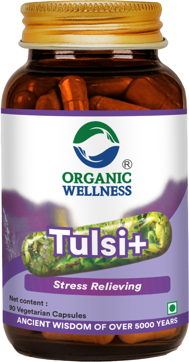 Organic Wellness Tulsi + 90 Capsules