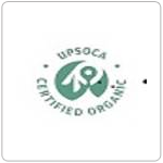 UPSOCA