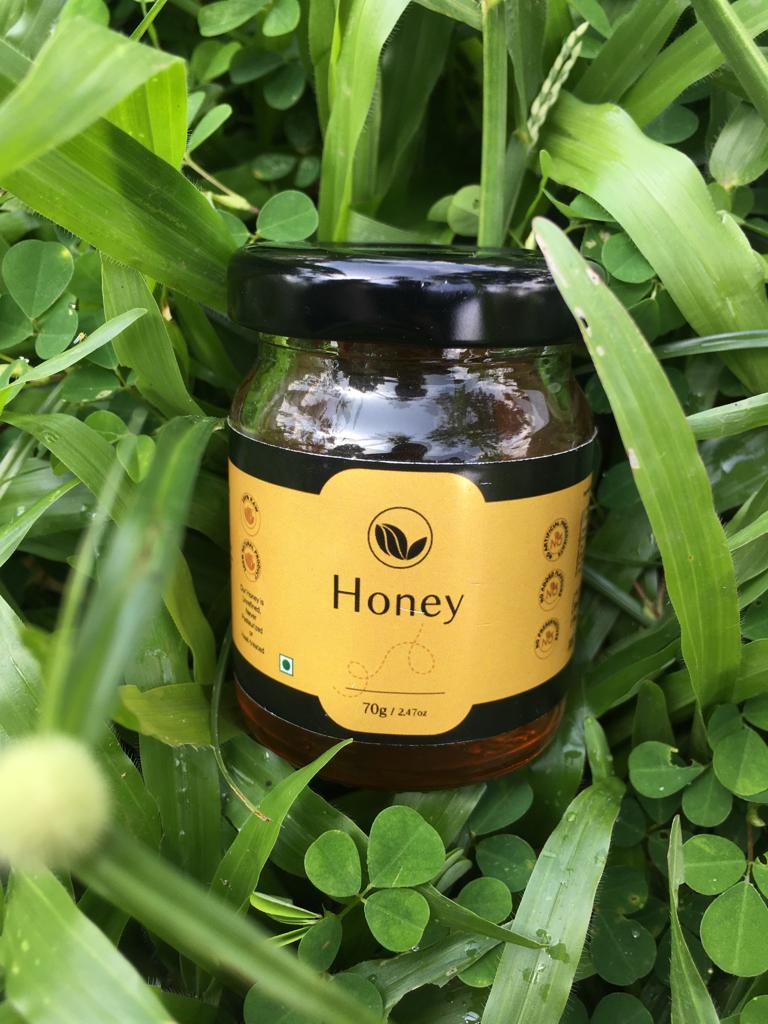 Kerala Naturals Honey (70 GM)