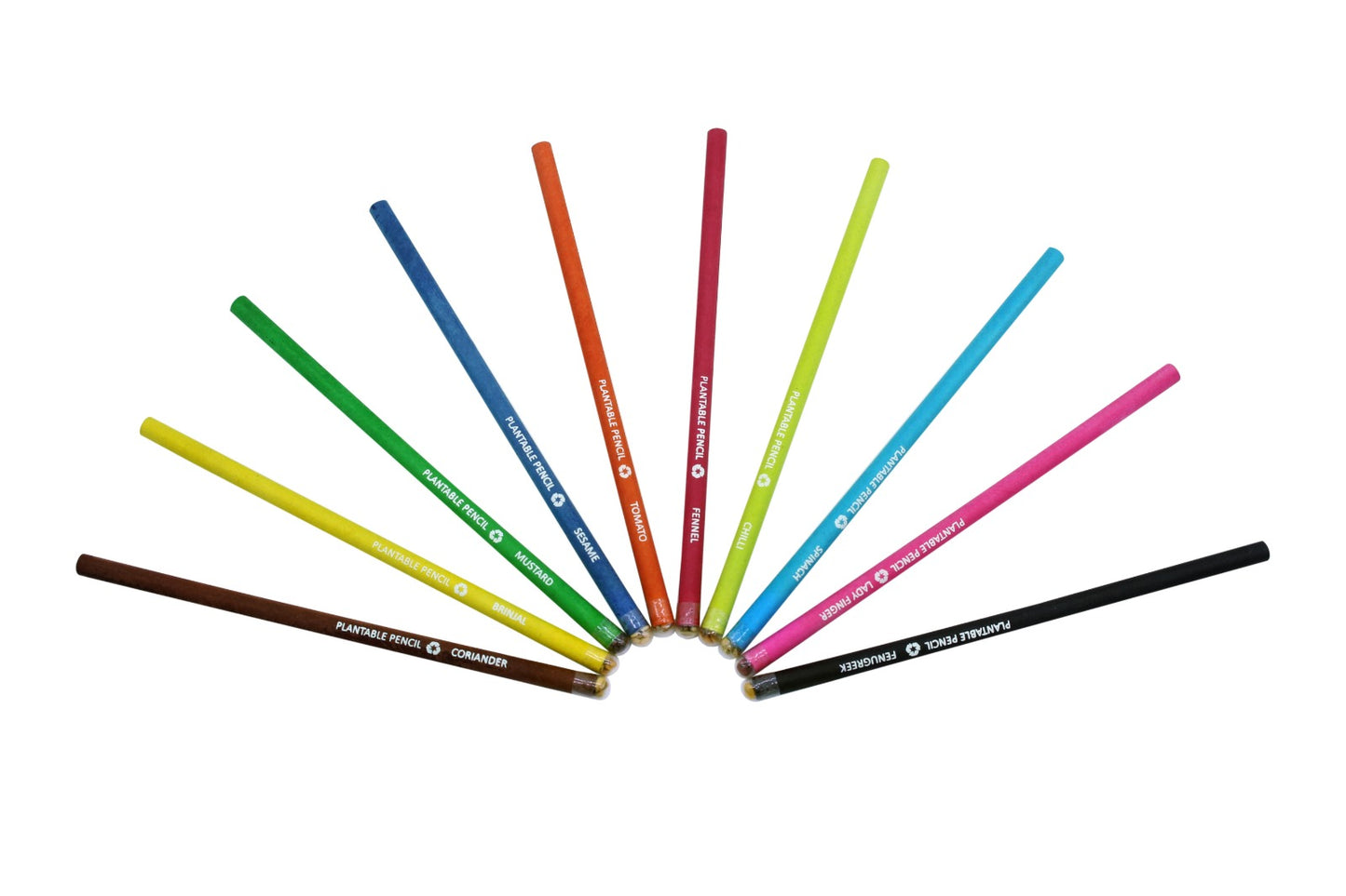 Vidigo Pencils Plantable Seed Colour  Paper Pencil (10 Pcs)
