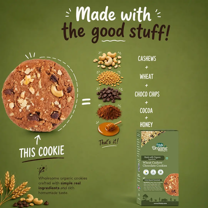 Frissly Wheat Cashew Chocolate Cookies (120 GM)