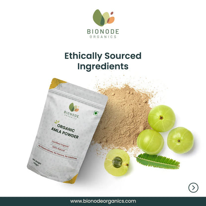 Bionode Organic Amla Powder (100 GM)