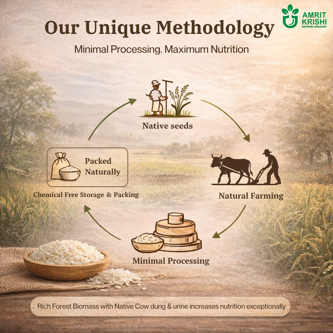 Amrit Krishi Basmati Rice (Kali Banga)