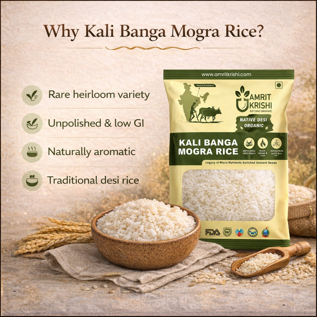 AMRIT KRISHI KALI BANGA MOGHRA RICE
