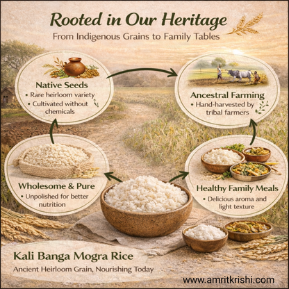 AMRIT KRISHI KALI BANGA MOGHRA RICE