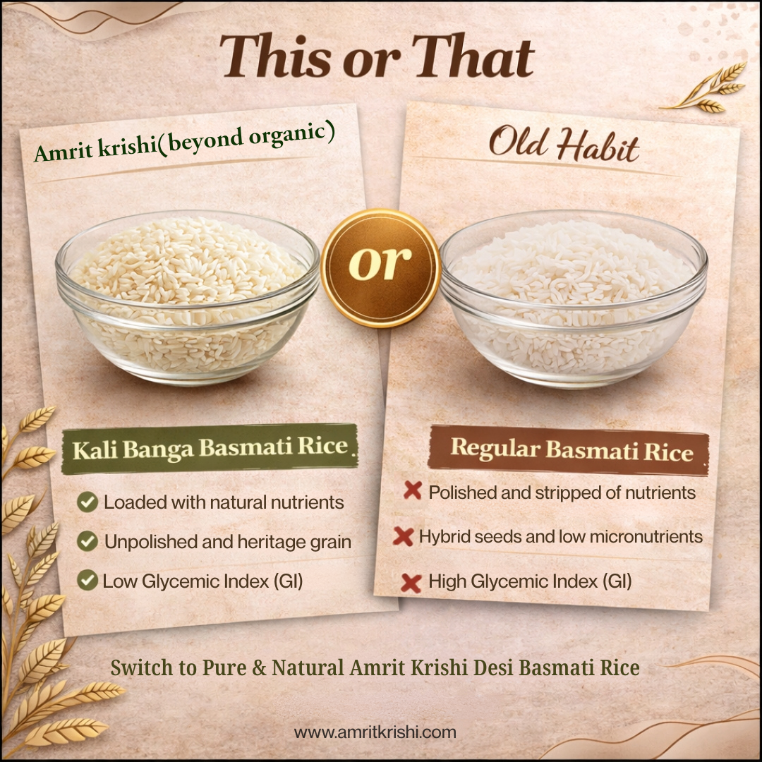 AMRIT KRISHI KALI BANGA MOGHRA RICE
