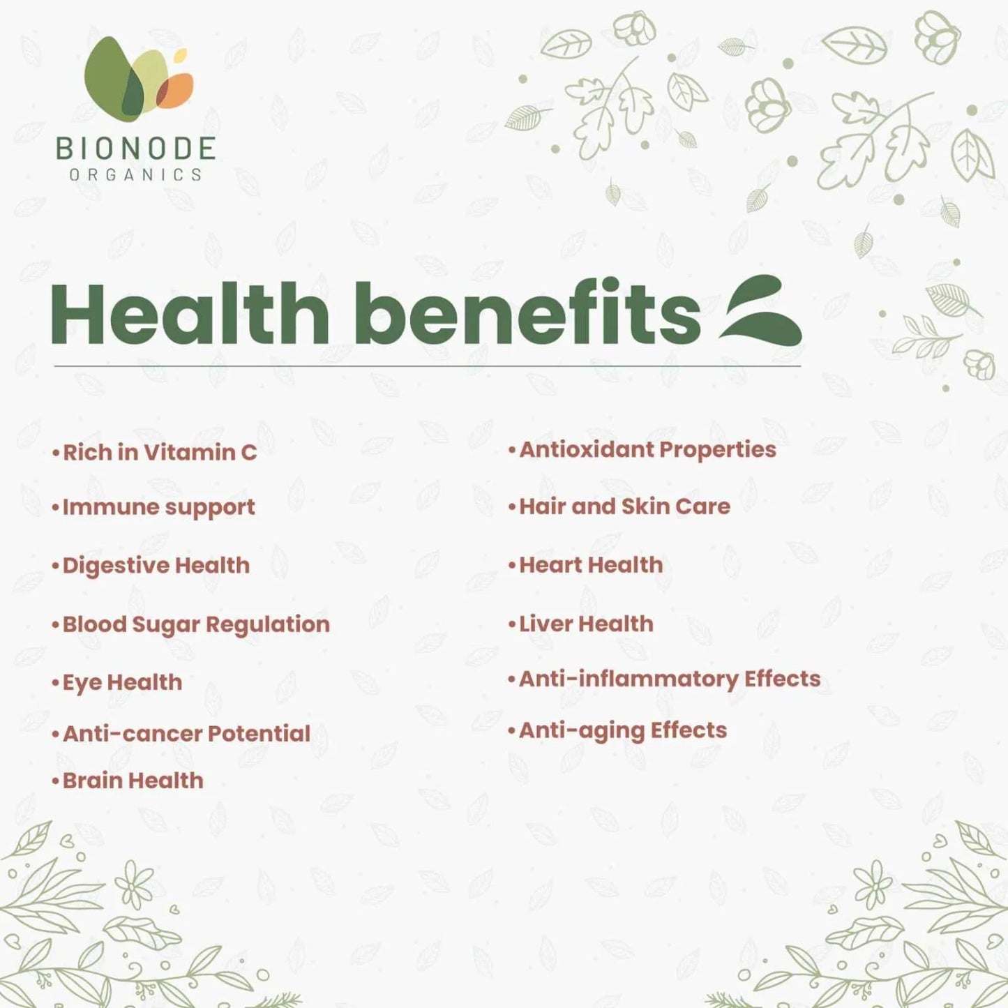 Bionode Organic Amla Powder (100 GM)