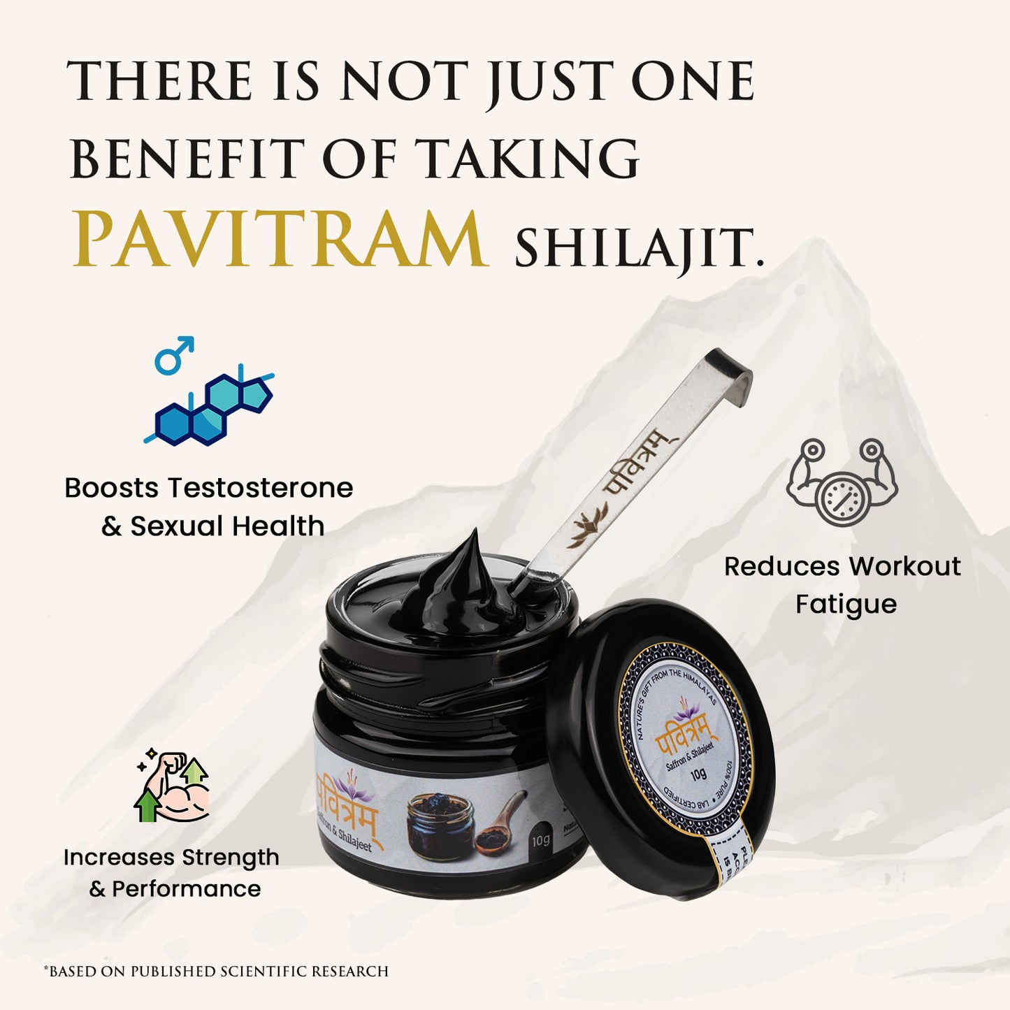 Pavitram Enterprises Pure Himalayan Shilajit