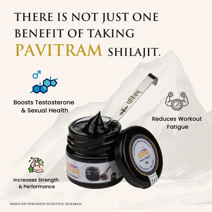 Pavitram Enterprises Pure Himalayan Shilajit