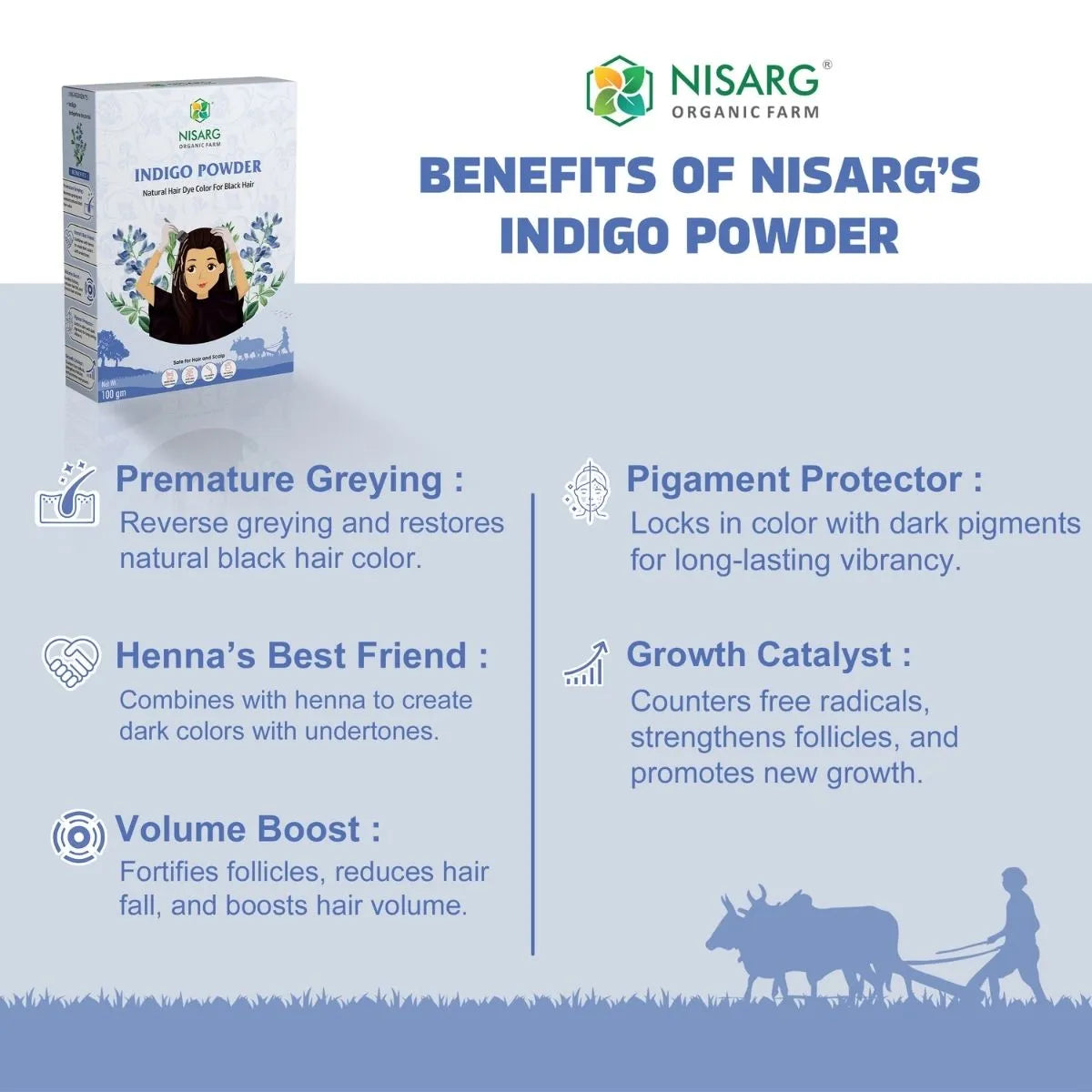 Nisarg Organic Farm Natural Indigo Leaf Powder