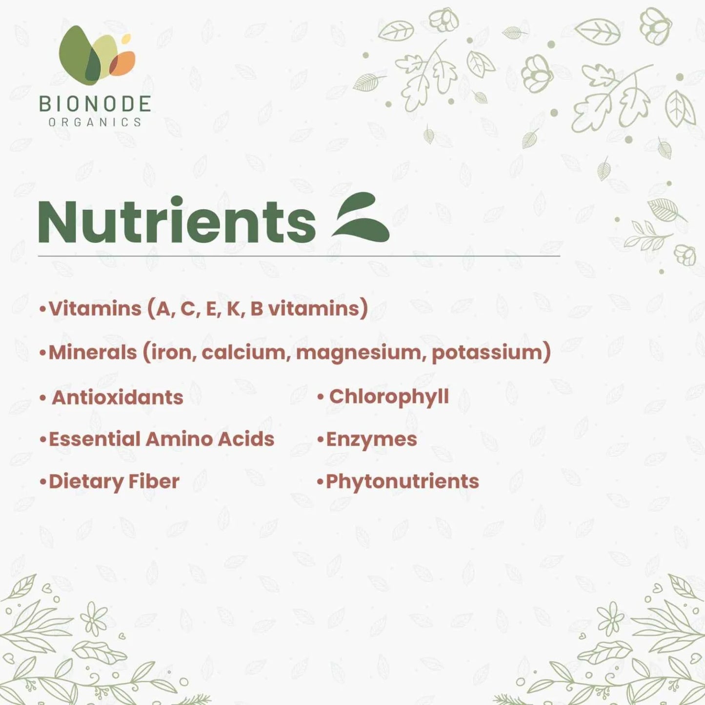 Bionode Organic Wheatgrass Powder (100 GM)