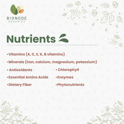 Bionode Organic Wheatgrass Powder (100 GM)
