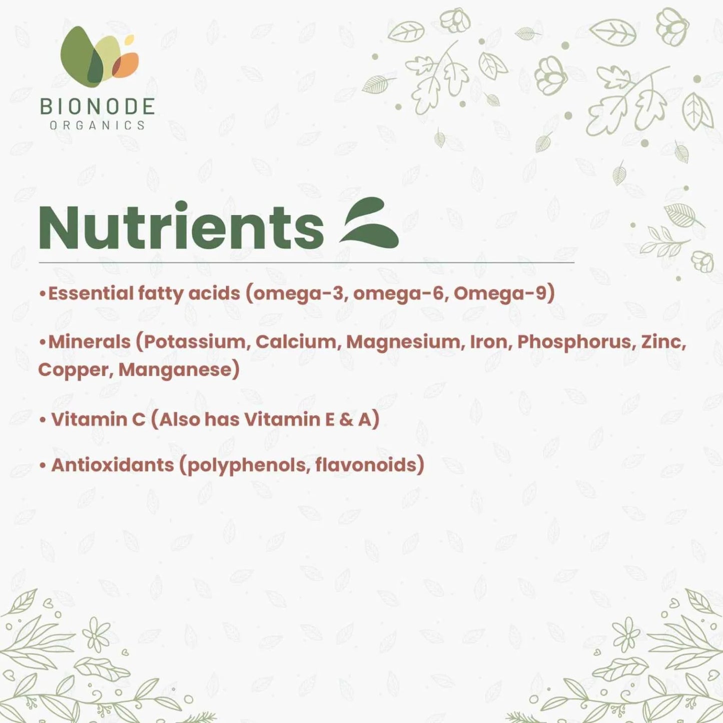 Bionode Organic Sea Buckthorn Berries Powder (100 GM)