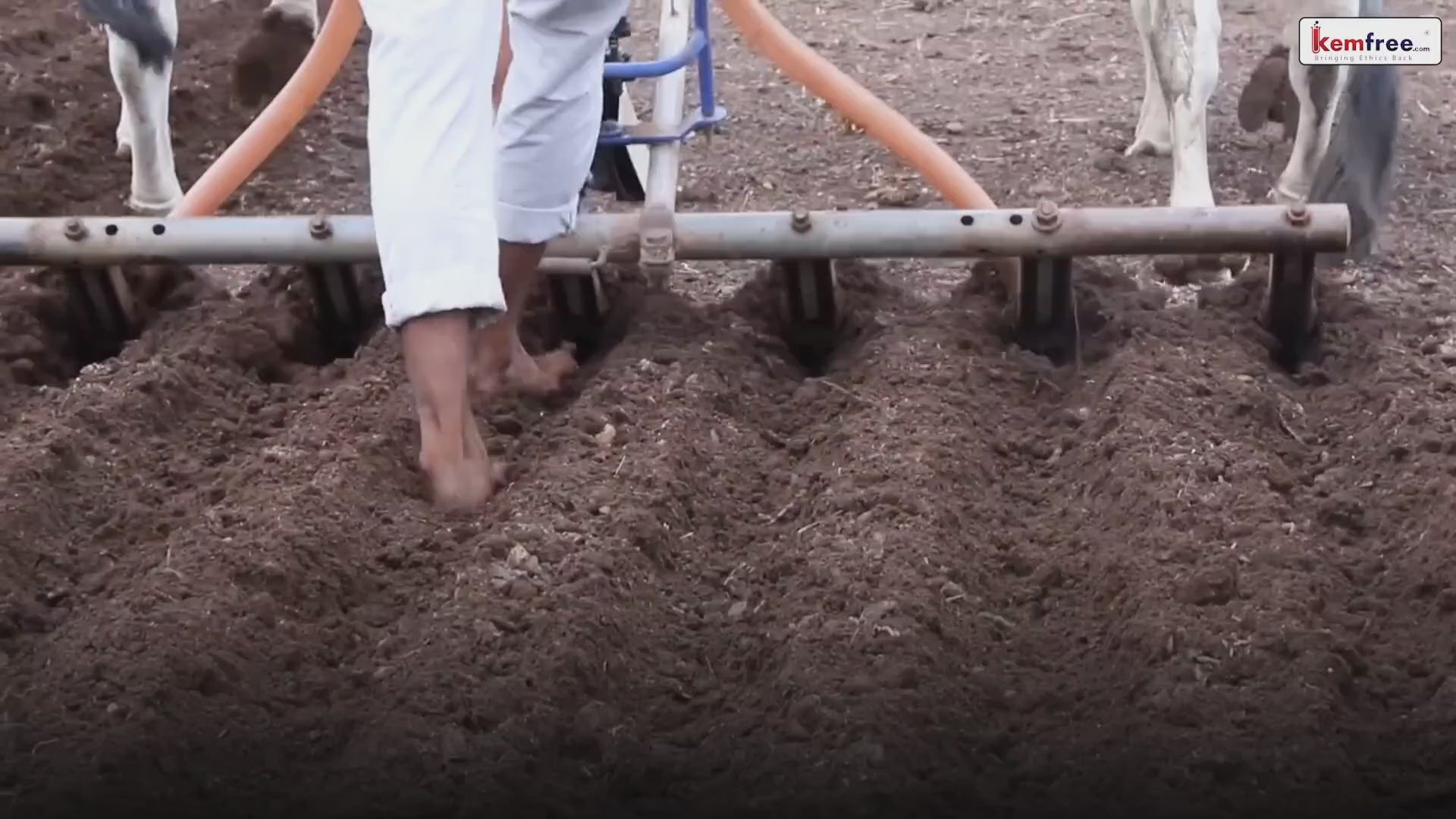 Load video: farm to home direct