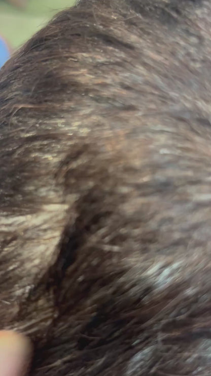 Aabhaveda Natural Hair Color 50 GM